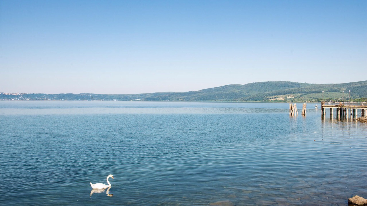 Photo of Others in Lake Bracciano