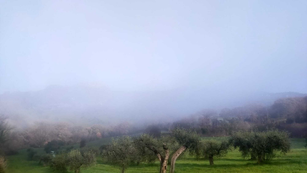 Photo of Others in Narni