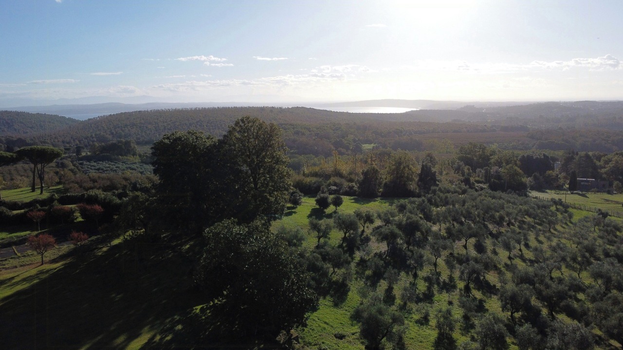 Photo of Others in Poggio