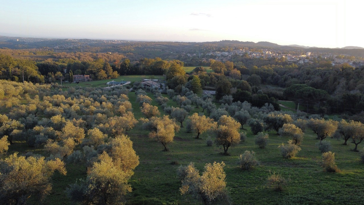 Photo of Others in Poggio