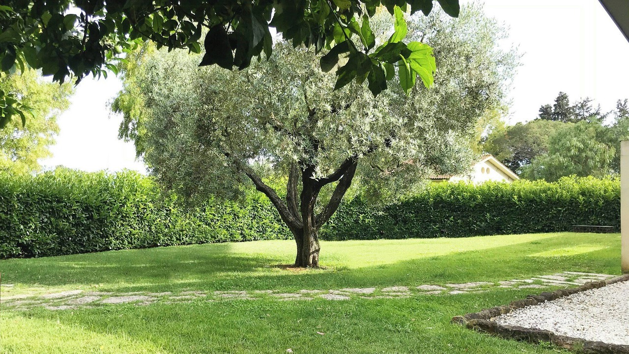 Photo of Outdoor in Aprilia