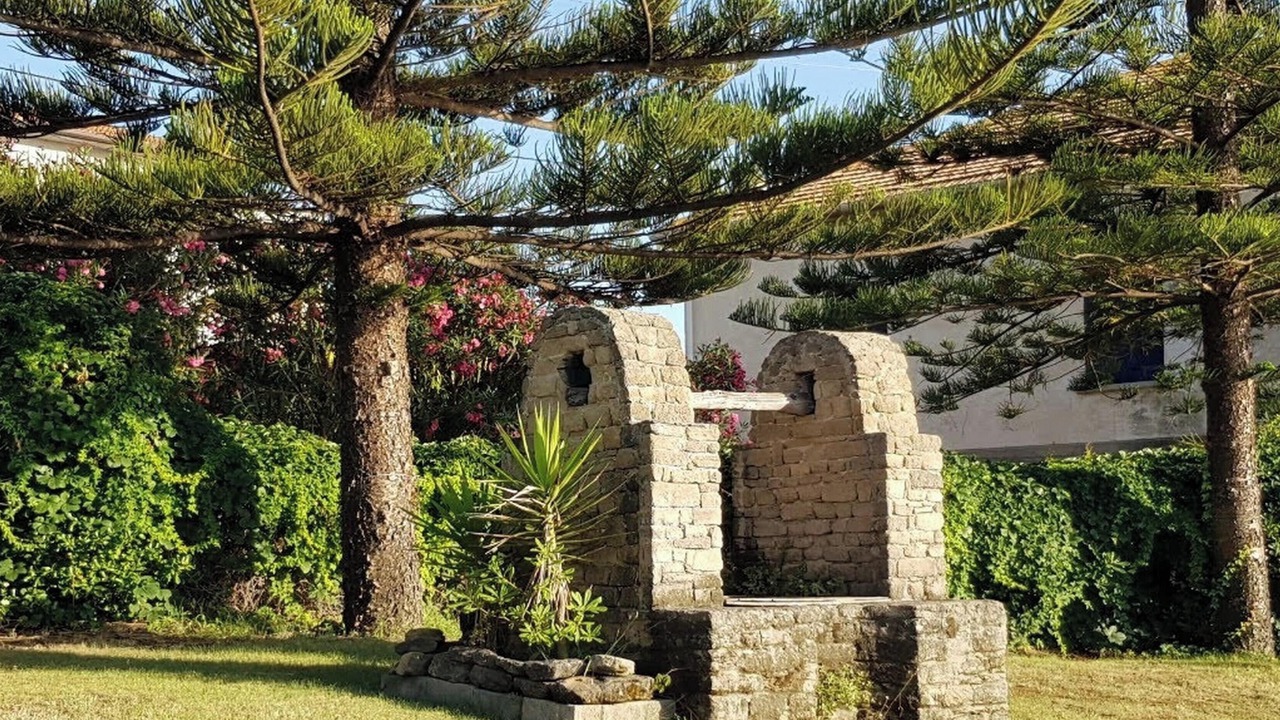 Photo of Outdoor in San Marco di Castellabate