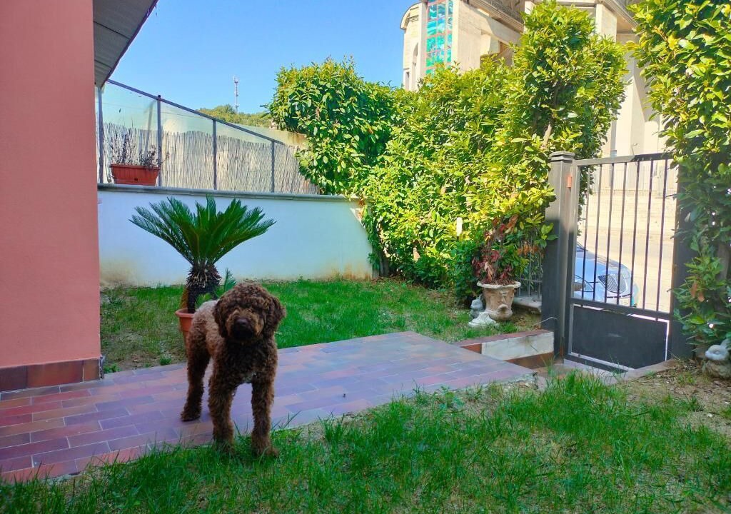 Photo of Outdoor in Isernia
