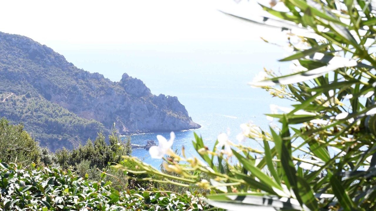 Photo of Others in Monte Argentario