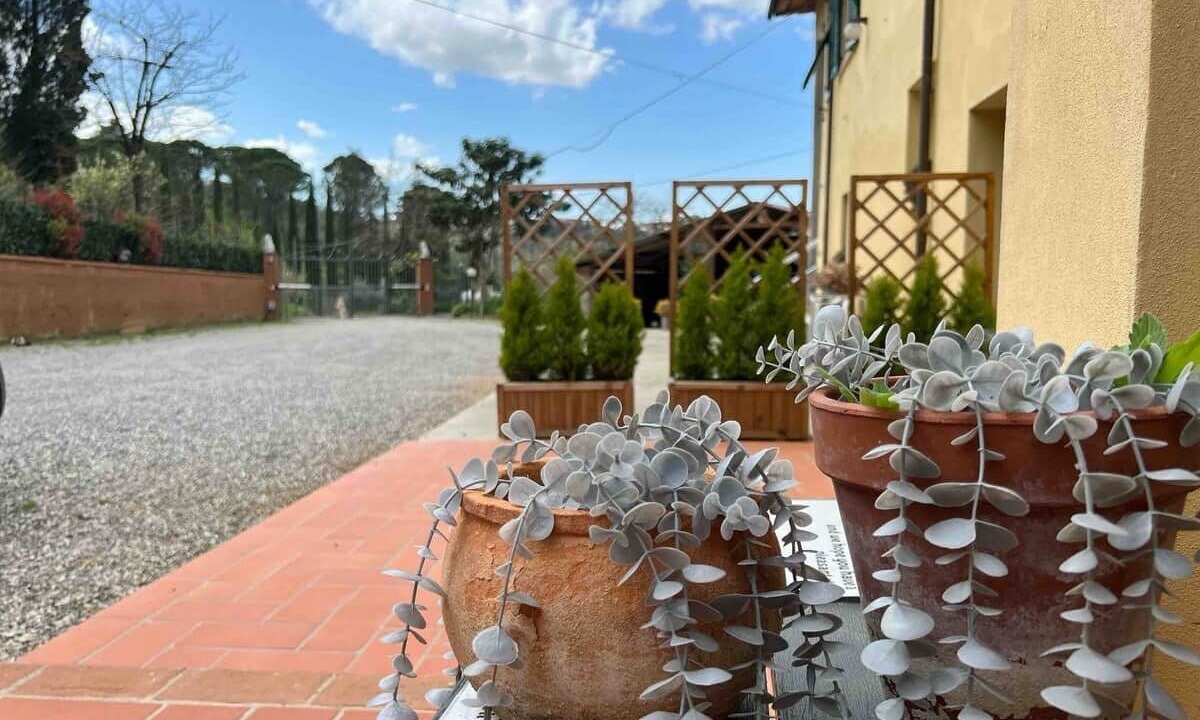Photo of Outdoor in San Miniato