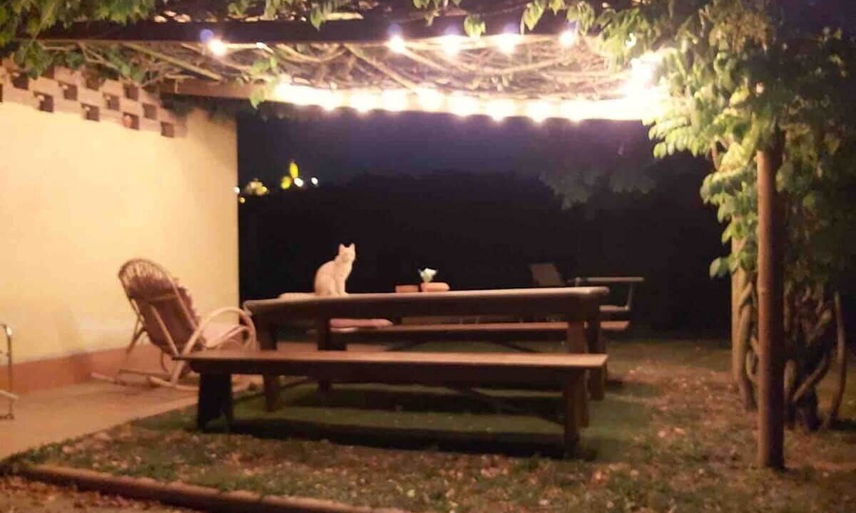 Photo of Patio Balcony in San Miniato