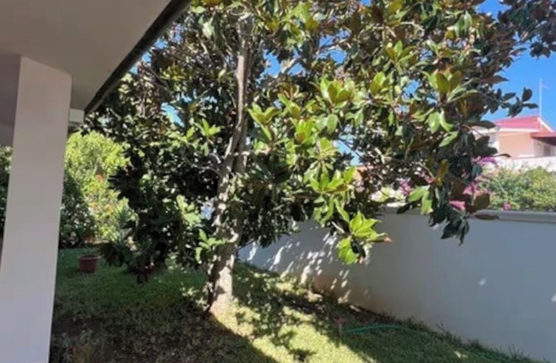 Photo of Outdoor in Reitani