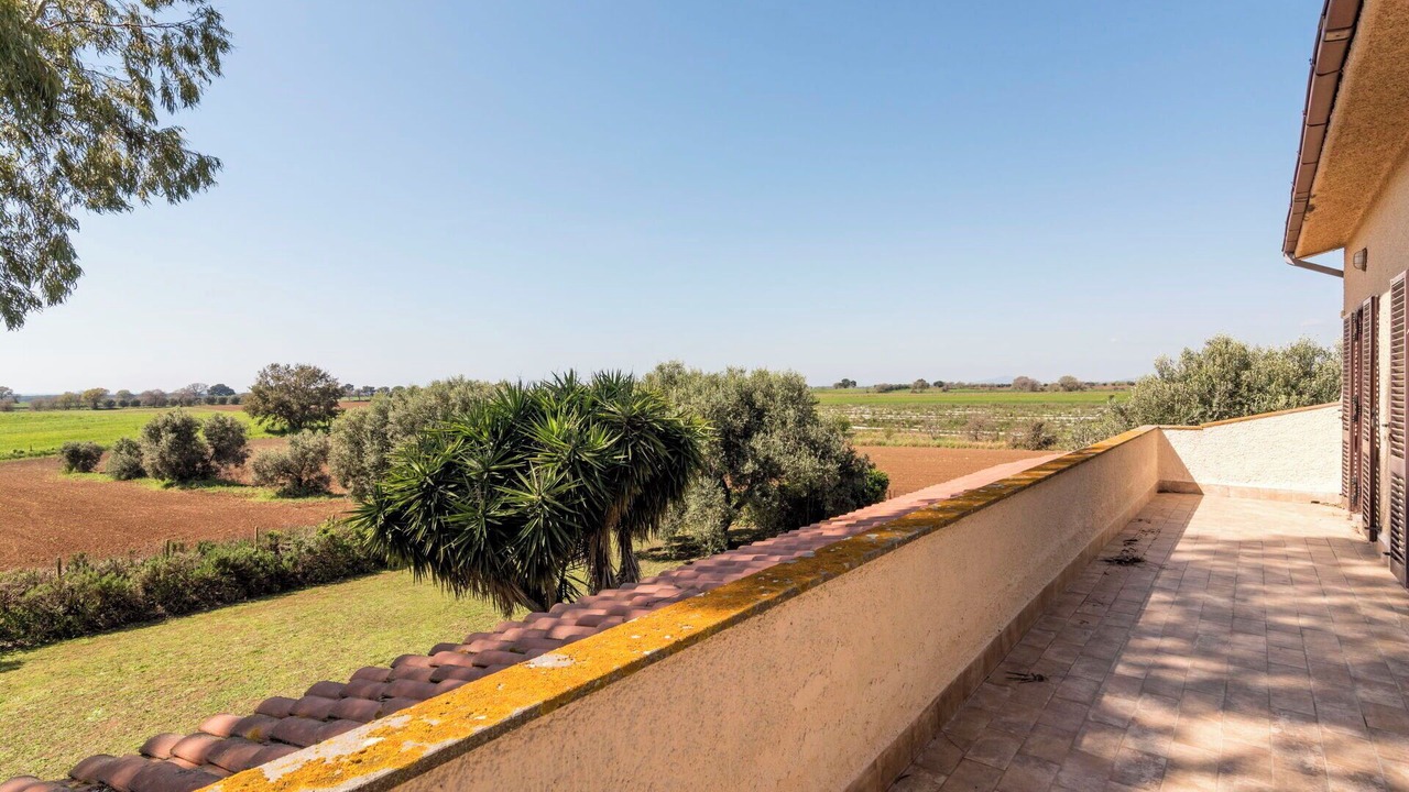 Photo of Others in Tarquinia