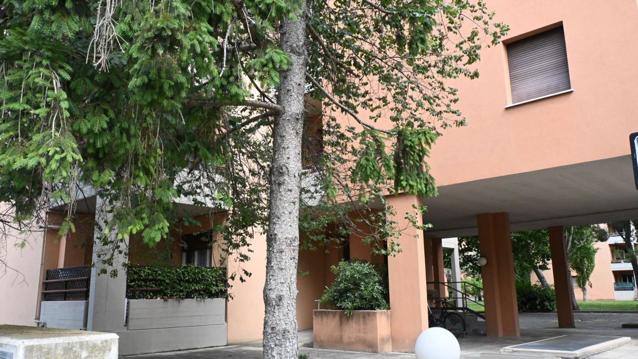 Photo of Outdoor in Senigallia