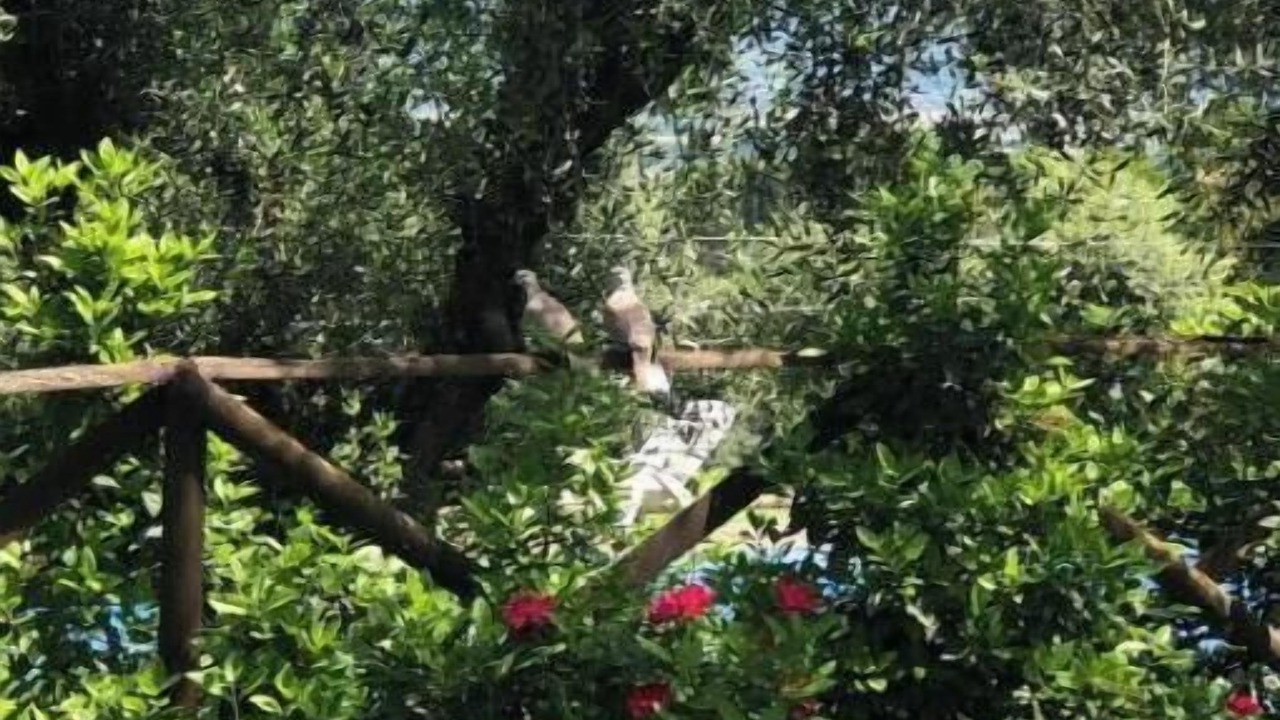Photo of Outdoor in Pietrauta