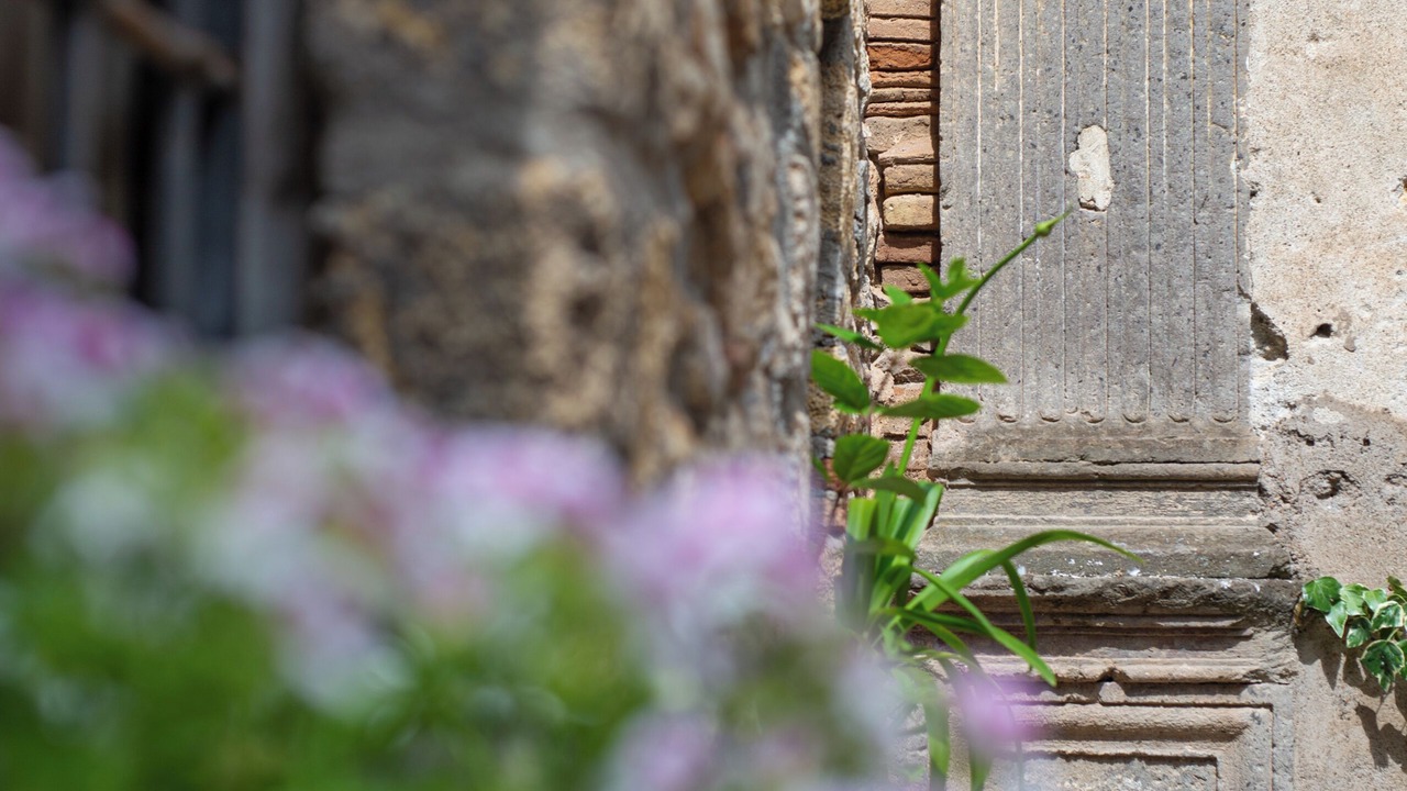 Photo of Outdoor in Tarquinia