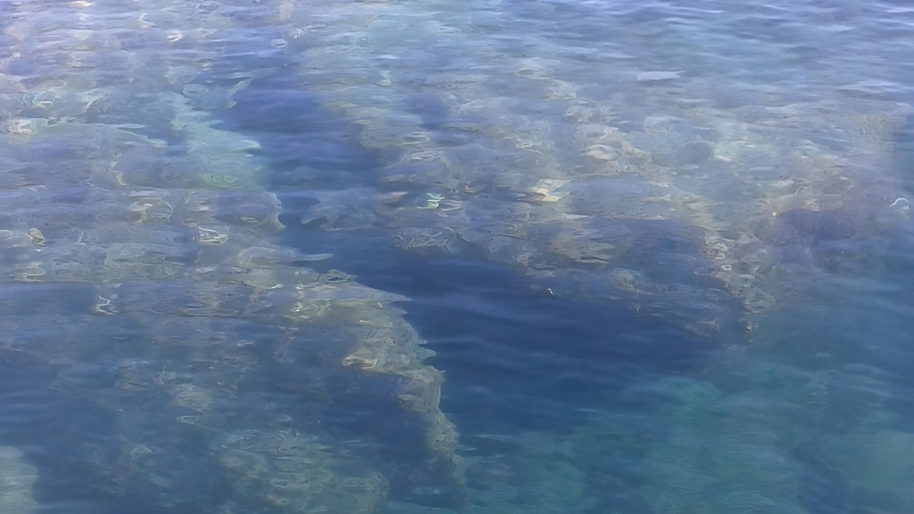 Photo of Outdoor in Marzamemi