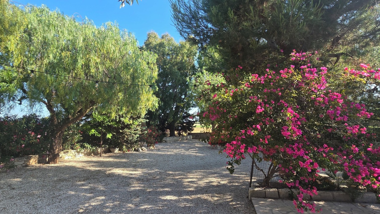 Photo of Outdoor in Brindisi