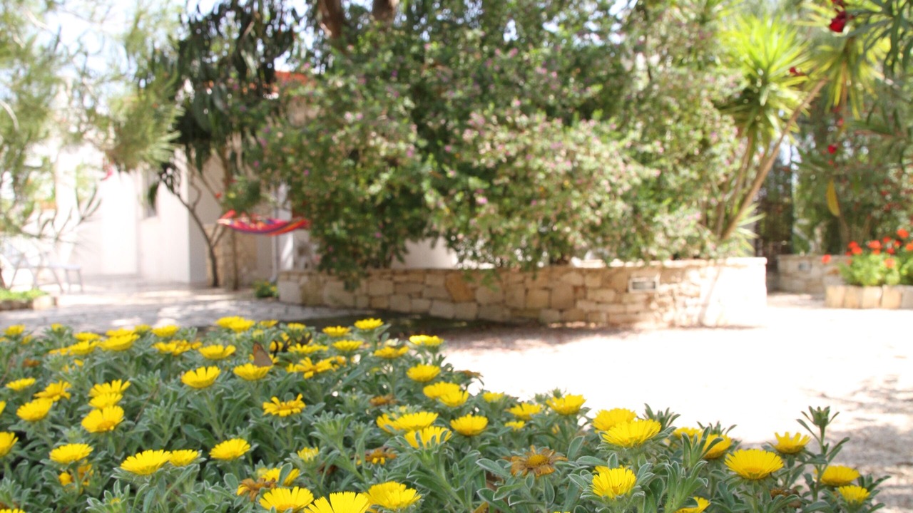 Photo of Outdoor in Brindisi