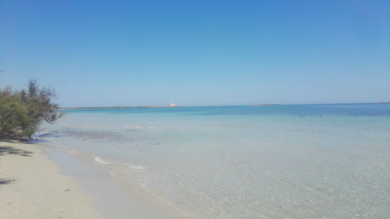Photo of Others in Brindisi