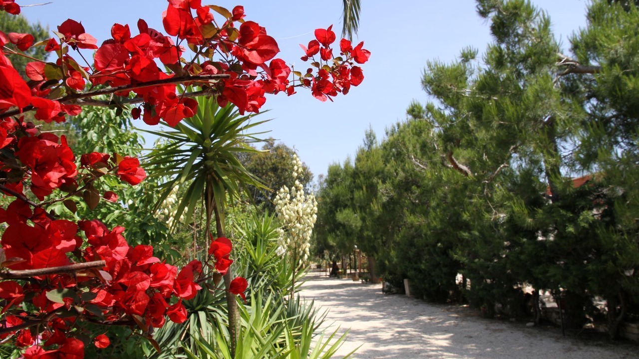 Photo of Outdoor in Brindisi