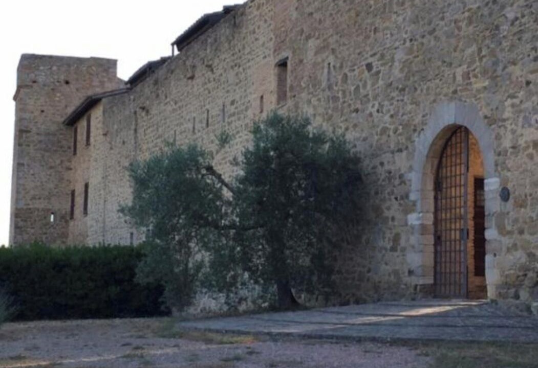 Photo of Outdoor in Monte Vibiano Vecchio