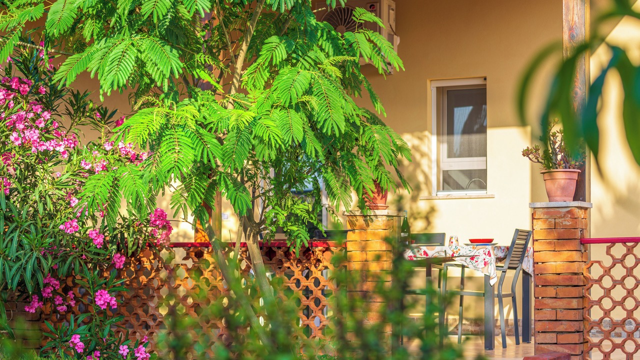 Photo of Outdoor in Dattilo