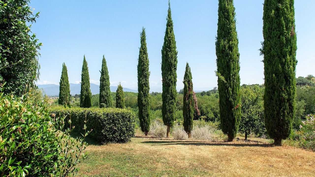 Photo of Outdoor in Crespina