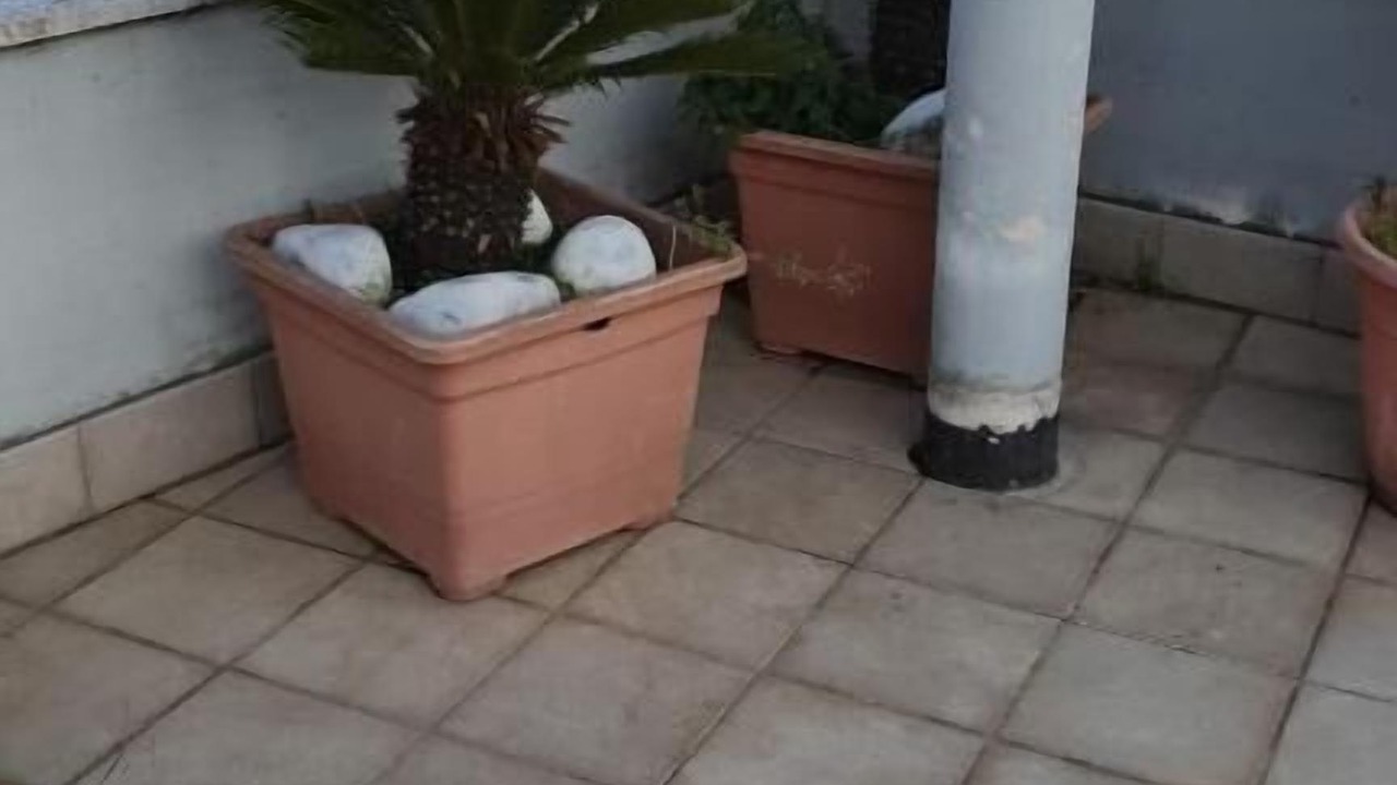 Photo of Outdoor in Nettuno