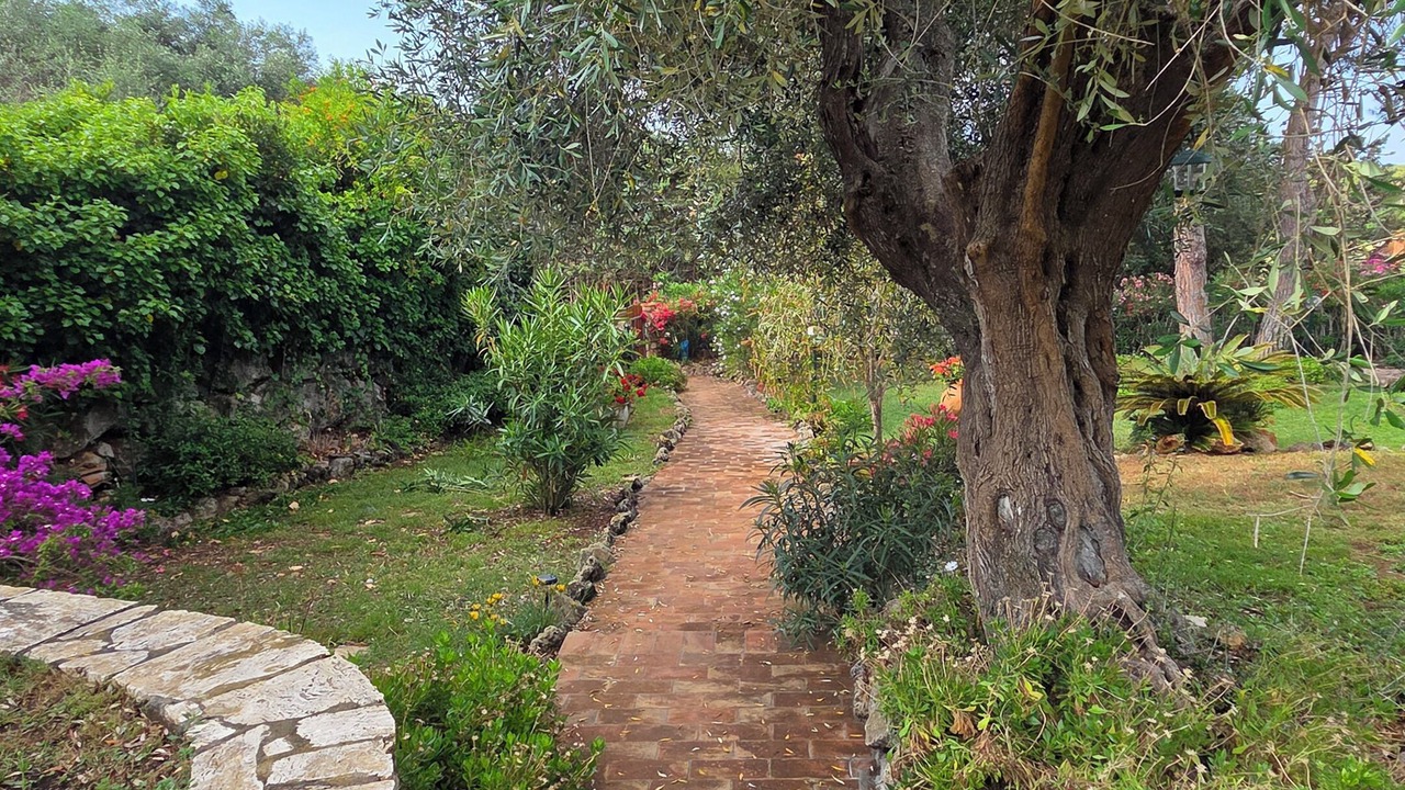 Photo of Outdoor in Orbetello