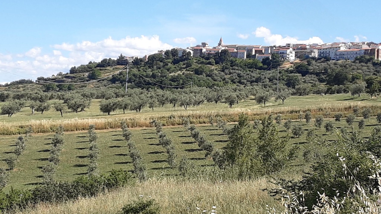 Photo of Others in Colletorto
