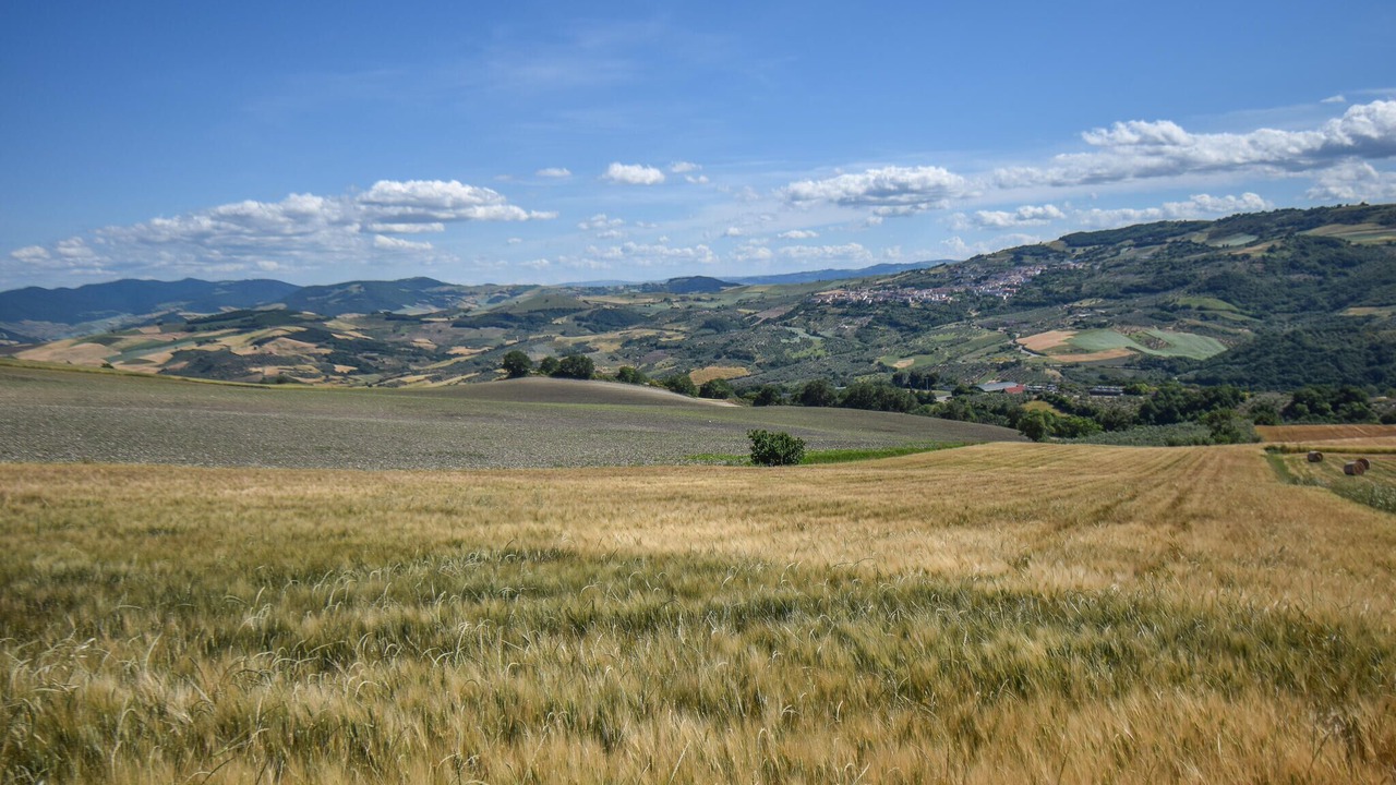 Photo of Others in Colletorto