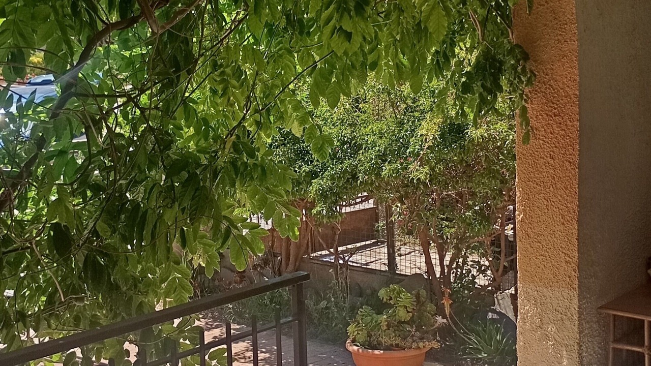 Photo of Outdoor in Giglio Campese