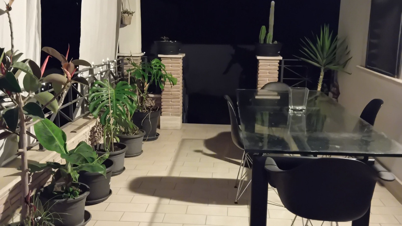 Photo of Outdoor in Zona XXX Castel Fusano