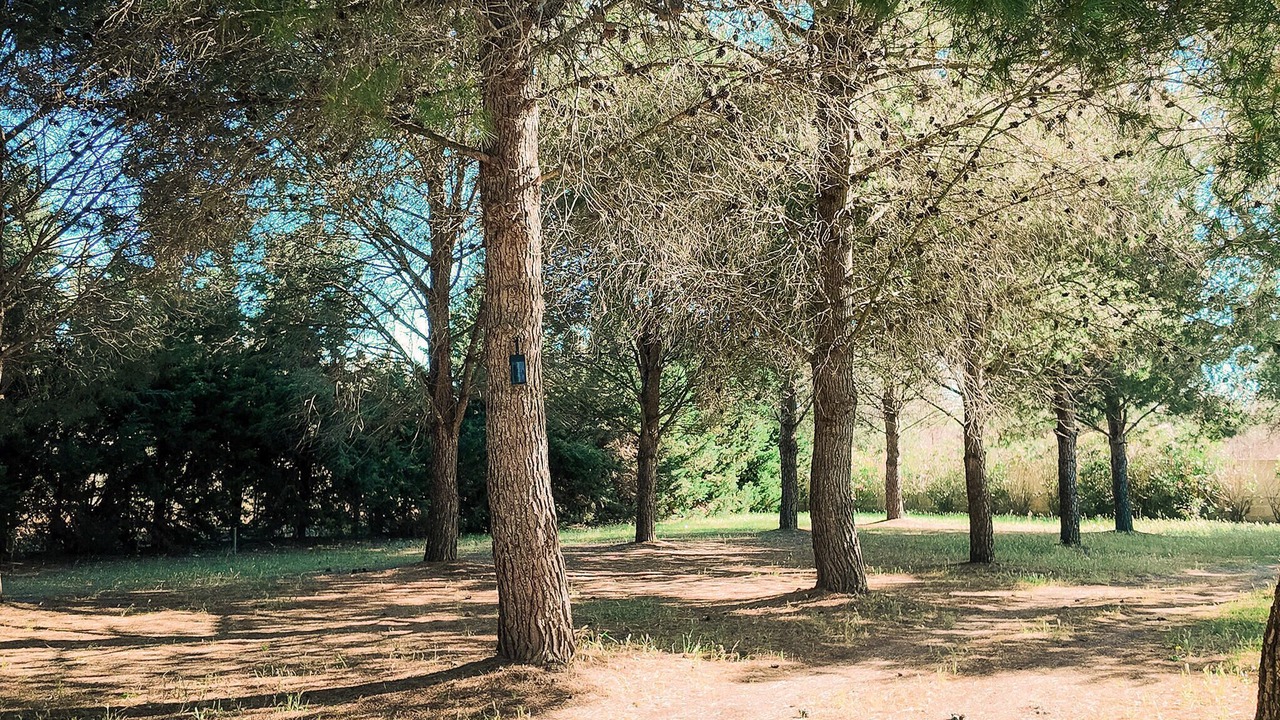 Photo of Others in San Pietro Vernotico
