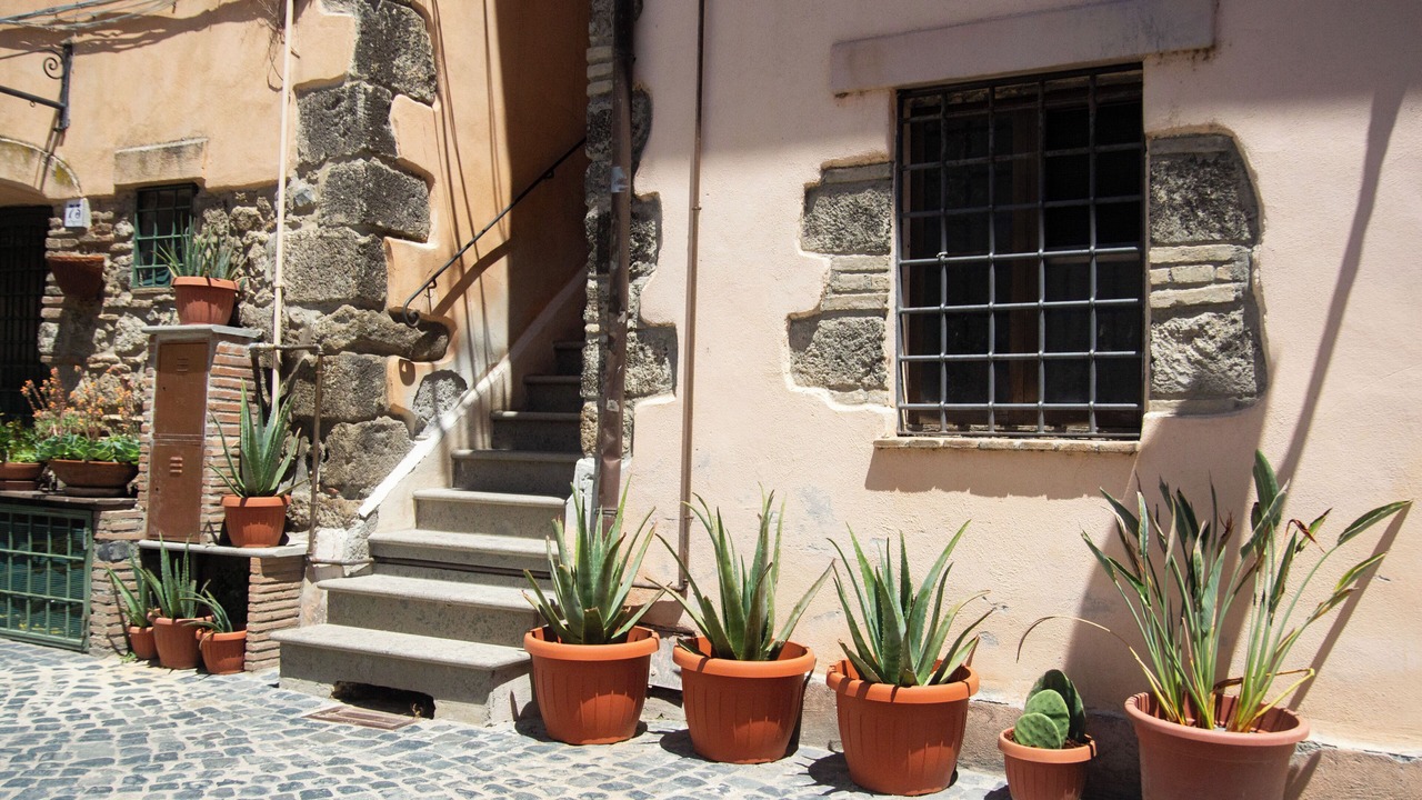 Photo of Outdoor in Lake Bracciano