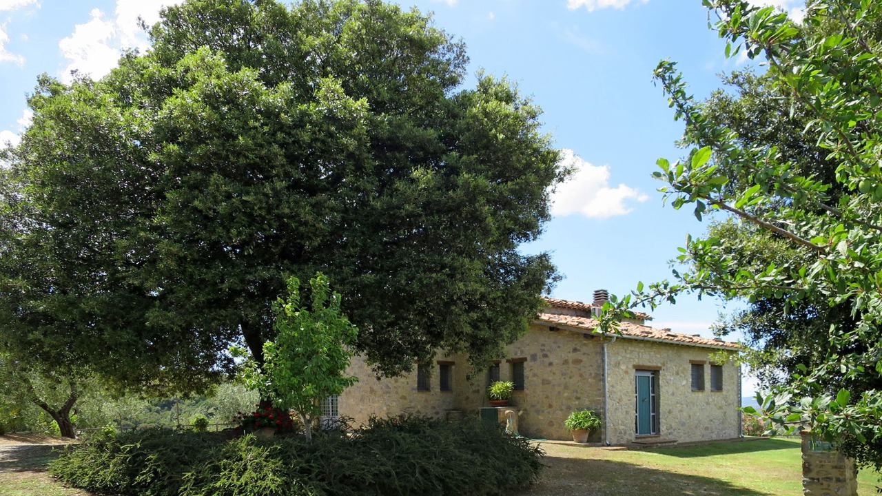 Photo of Others in Scansano