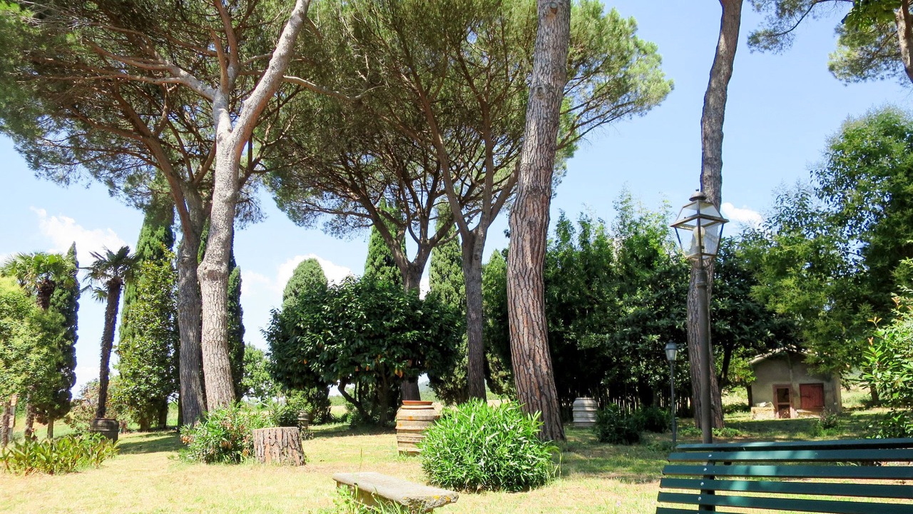 Photo of Others in Bolsena