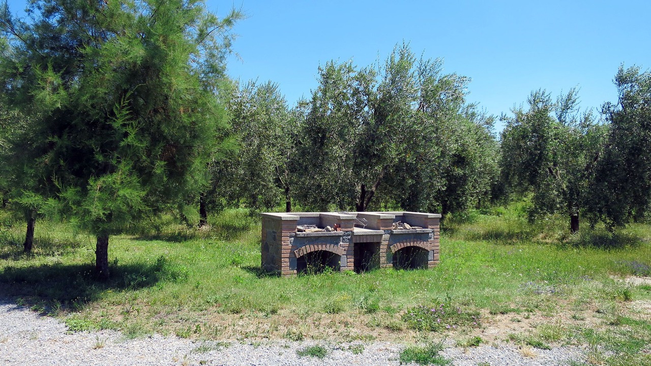Photo of Others in Bolsena