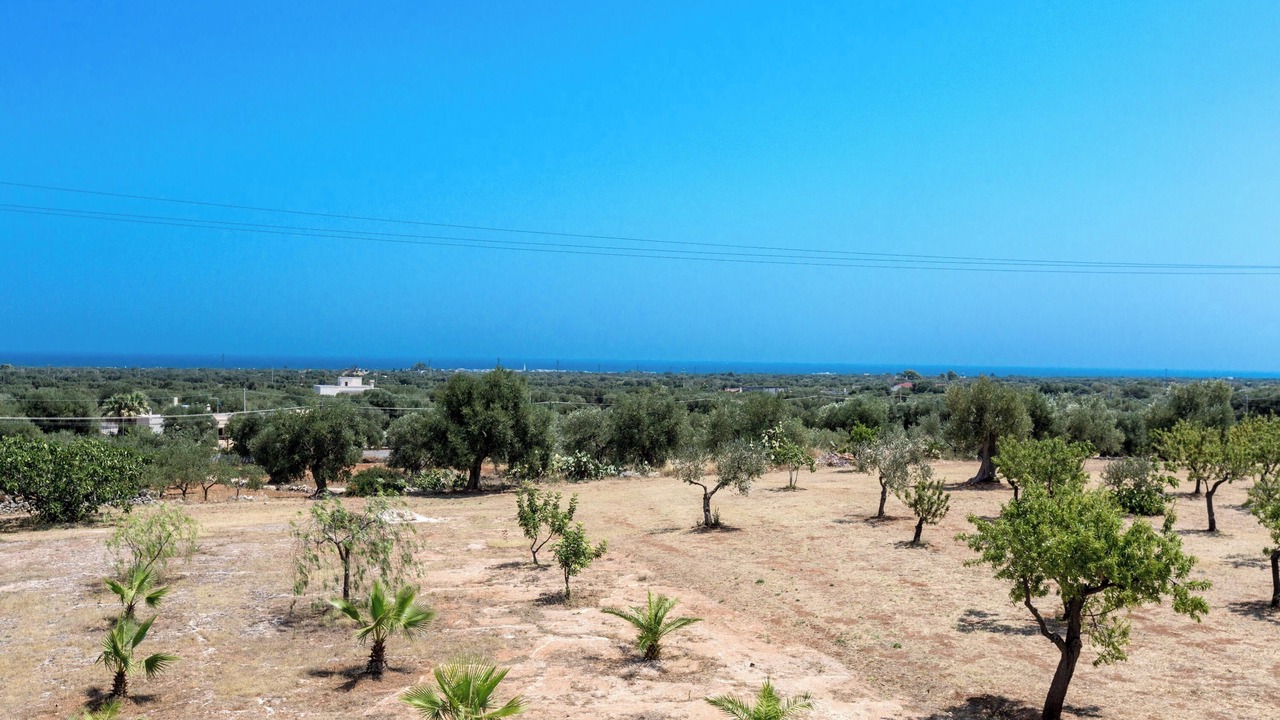 Photo of Outdoor in Pezze di Greco