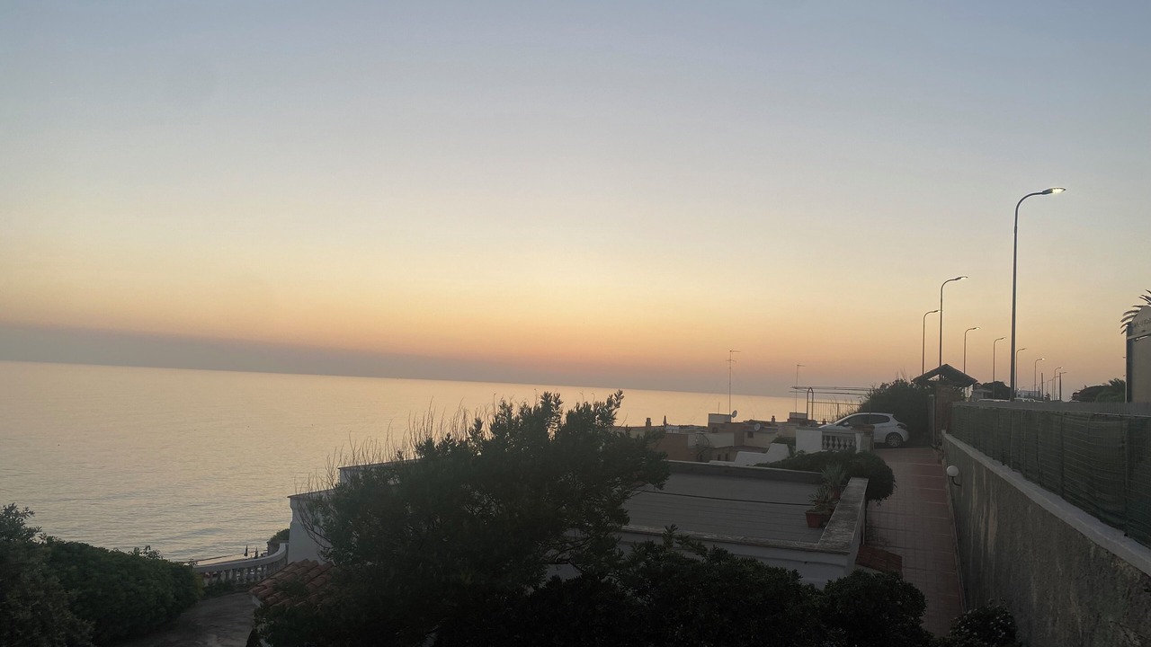 Photo of Others in Nettuno