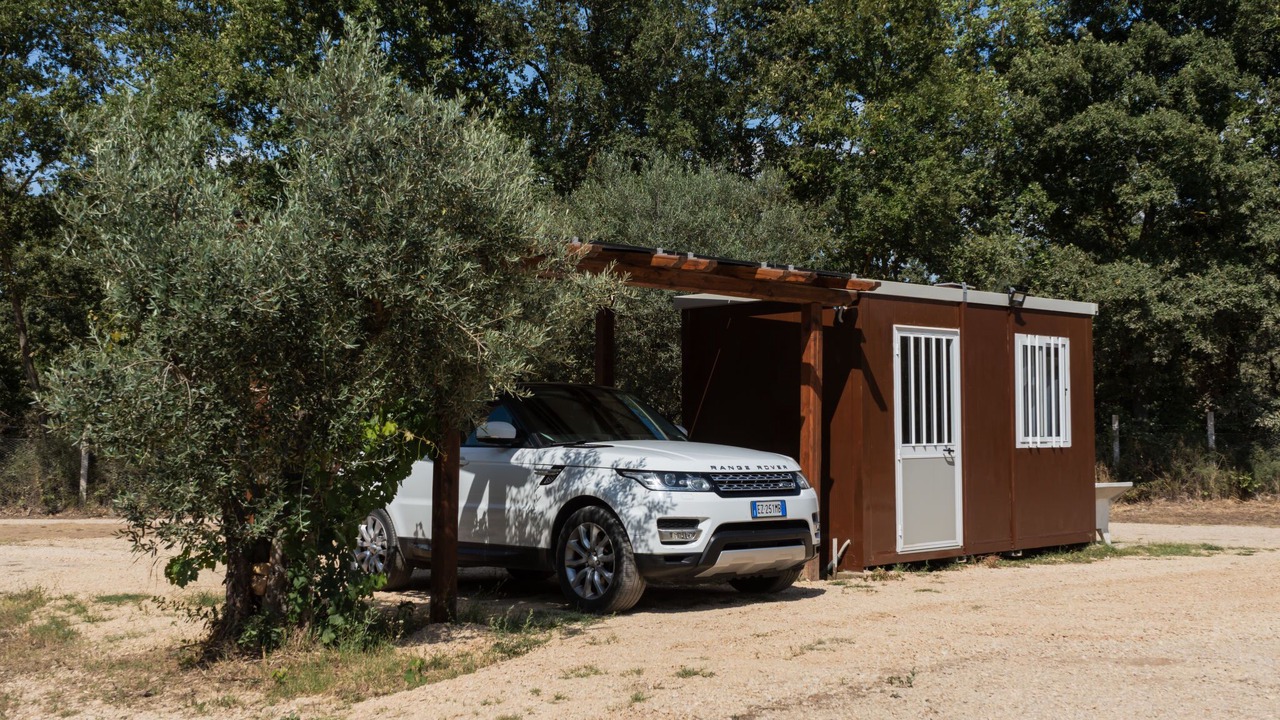 Photo of Outdoor in Vetralla