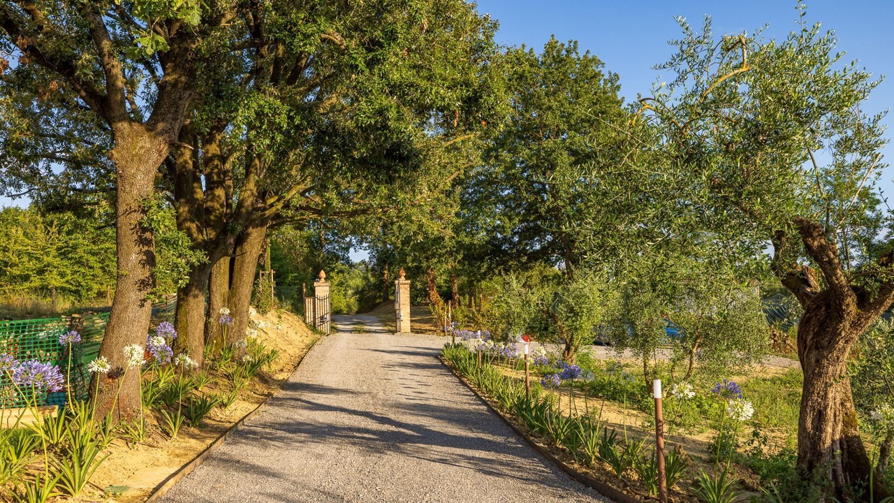 Photo of Outdoor in Chiusi