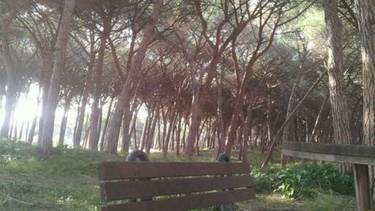 Photo of Outdoor in Marina di Montalto