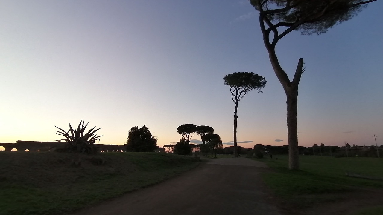 Photo of Others in Cinecitta