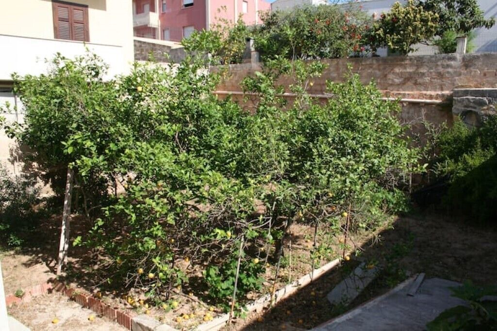 Photo of Outdoor in Favignana