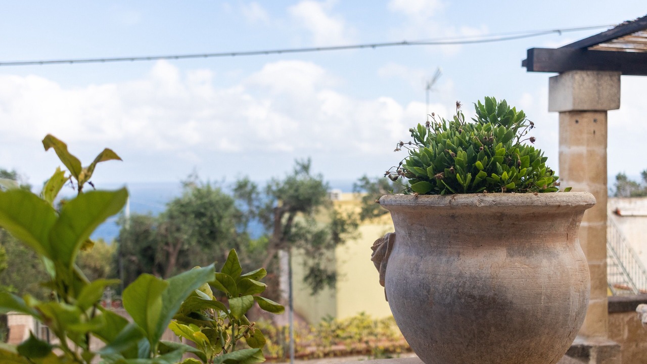 Photo of Outdoor in Marina Serra