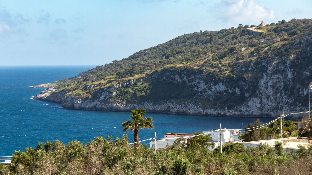 Photo of Others in Marina Serra