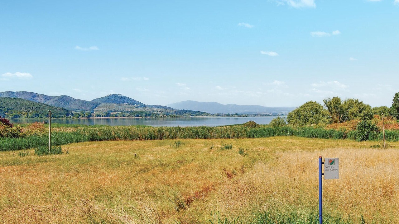 Photo of Others in Tuoro sul Trasimeno