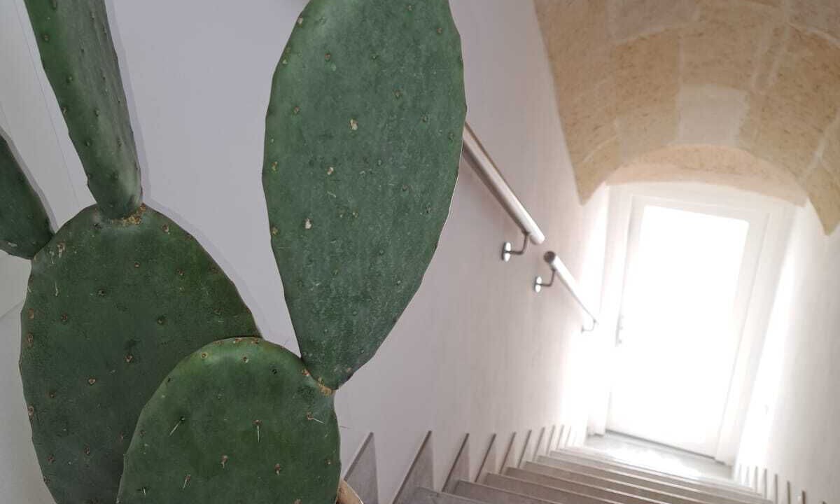 Photo of Patio Balcony in Grottaglie