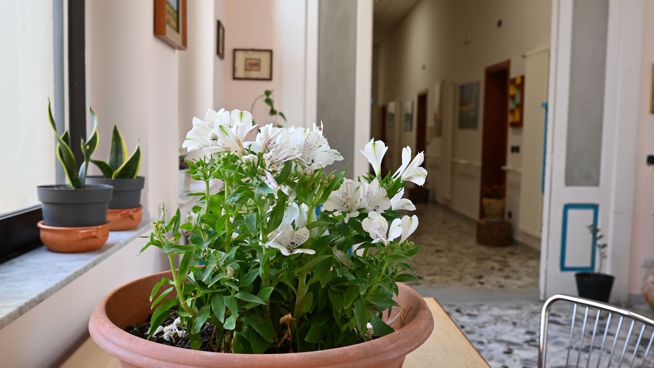 Photo of Others in Brindisi Histotic Center