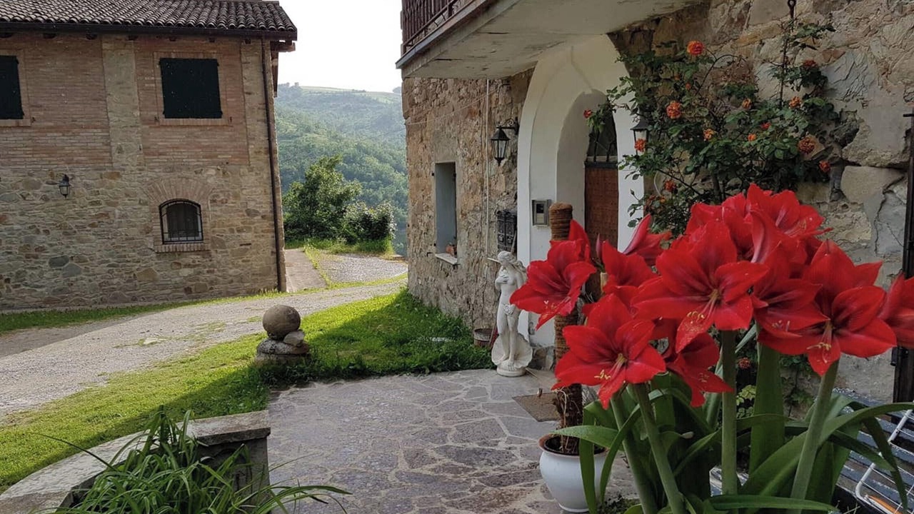 Photo of Others in Monte San Pietro