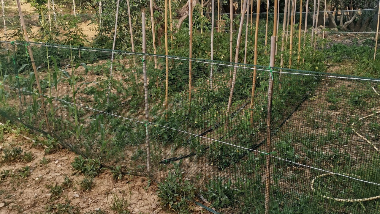 Photo of Outdoor in Fonte Blanda
