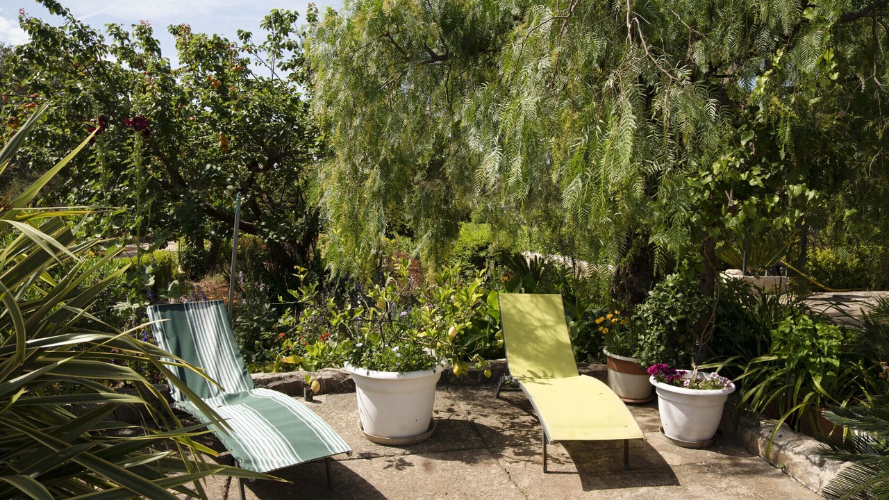 Photo of Outdoor in San Vito dei Normanni