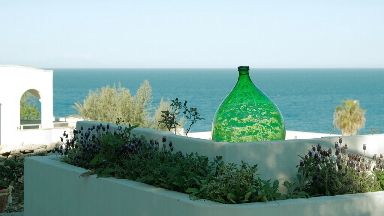 Photo of Outdoor in Marina Serra